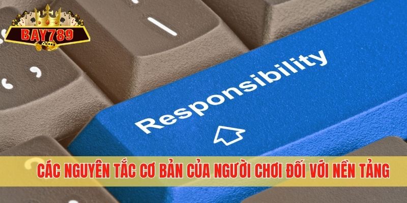 Các nguyên tắc cơ bản của người chơi đối với nền tảng