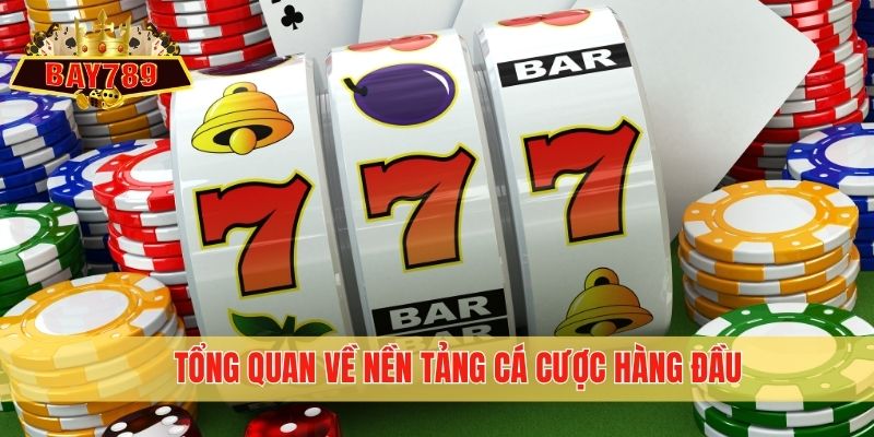 Tổng quan về nền tảng cá cược hàng đầu